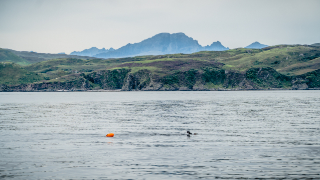 Strongman Ross Edgley swims into shore after 157 days and 2,000 miles at sea