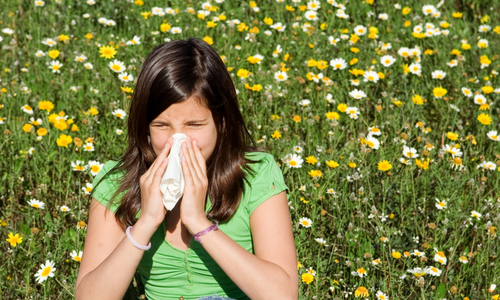 Chyby alergiků: nedodržují pravidla, chodí málo ven a špatně uklízí