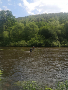 Vodáci našli mrtvolu ve Vltavě pod Zlatou Korunou
