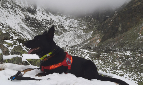 Poľský turista neprežil pád na Gerlachu Poľský turista neprežil pád na Gerlachu