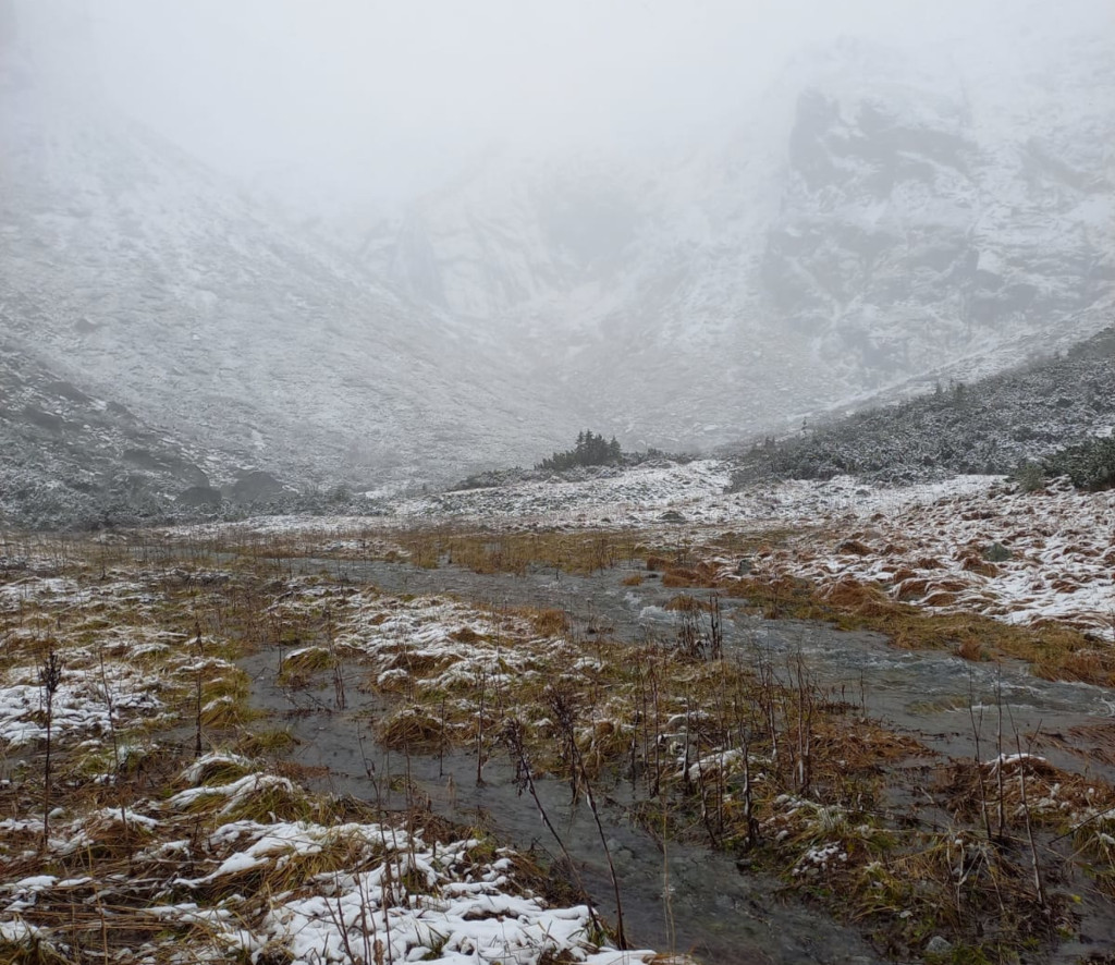 Malý Studený potok se rozvodnil pod Ohniskom. Malý Studený potok se rozvodnil pod Ohniskom.