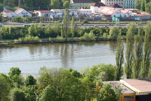 Praha. Veslař trénuje na Vltavě v Braníku.