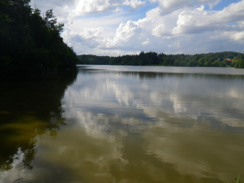 Vyžlovský rybník.
