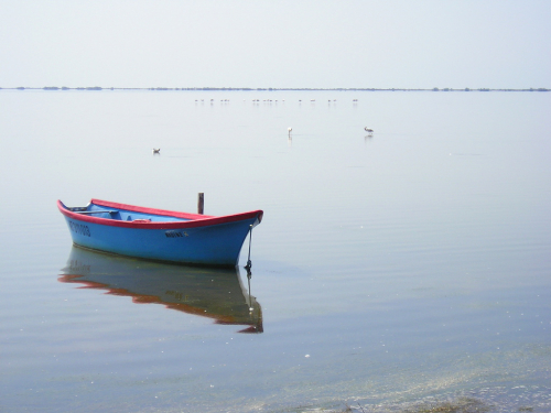 Camargue. Mezi zemí a mořem.