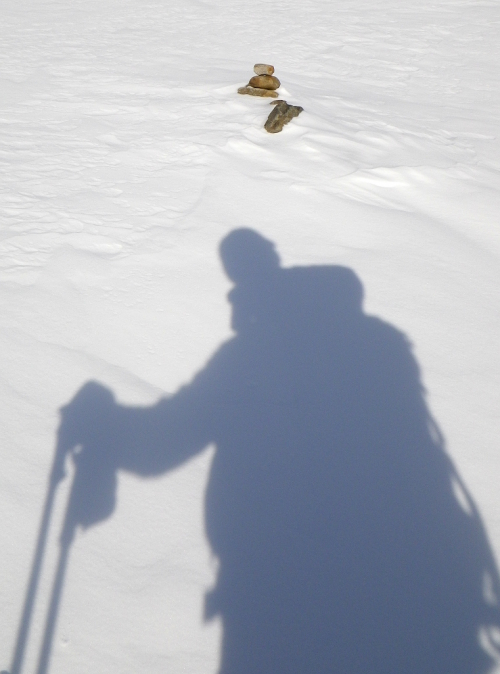 Letní mužík vykukuje skrze sníh pod Bliggschartl.