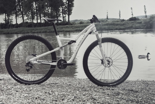 Specialized Rumor 29.