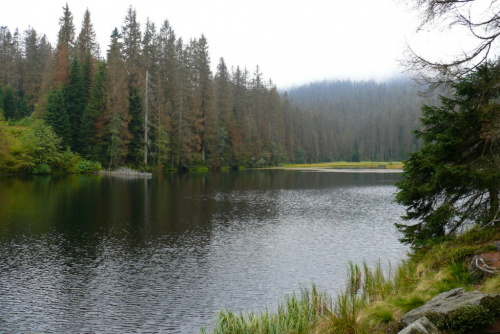 Šumava, jezero Laka.