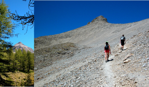 Mont Pelat. Alpes Maritimes (Přímořské Alpy).