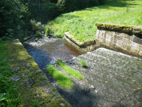 Václavský rybník pod Přimdou.