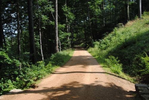 Viniční cesta v Jizerských horách.