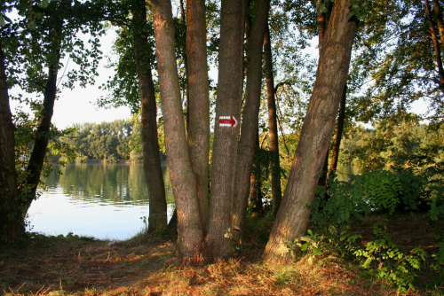Jezero Sadská.