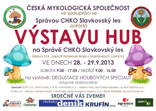 Výstava hub 2013.