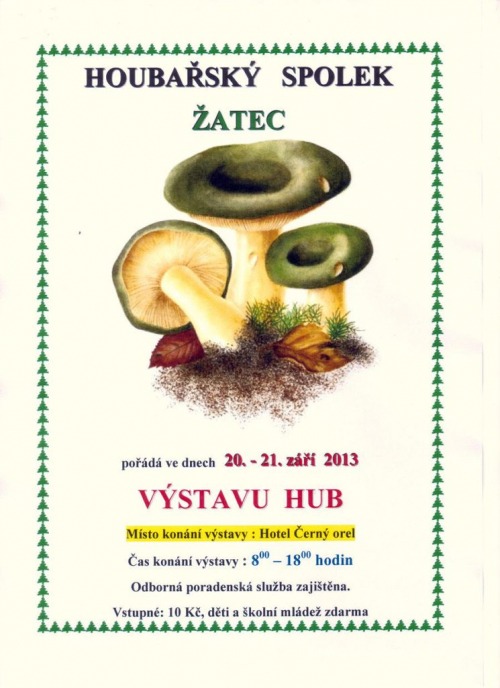 Výstava hub 2013.