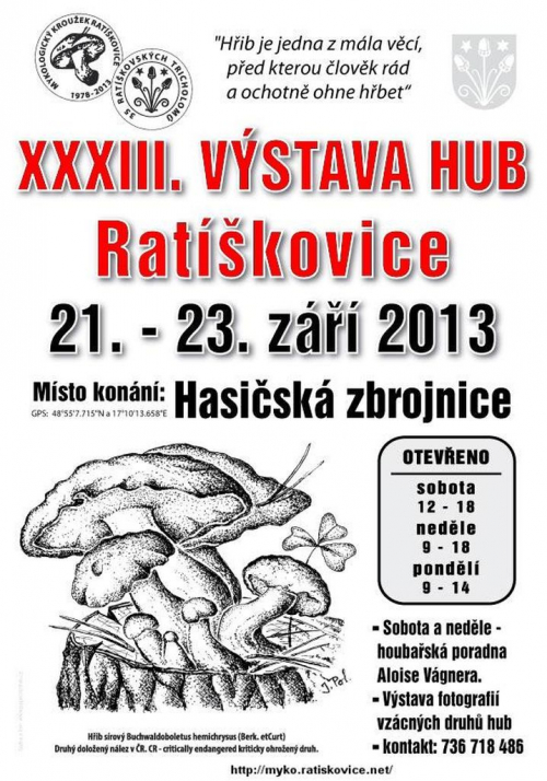 Výstava hub 2013.