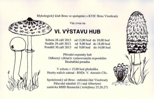 Výstava hub 2013.