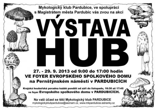 Výstava hub 2013.