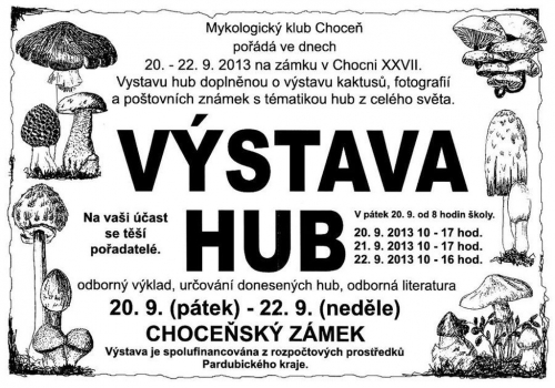 Výstava hub 2013.