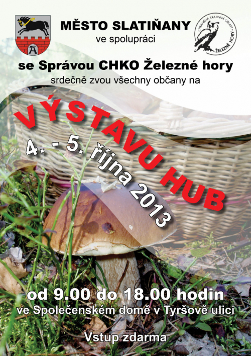 Výstava hub 2013.