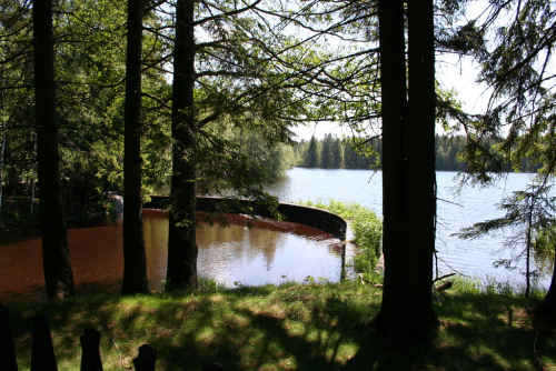 Kladská. Slavkovský les.