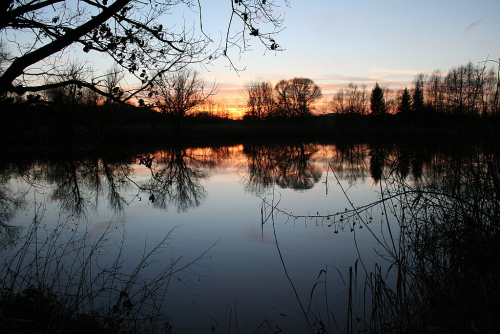 Lítožnice, západ slunce nad rybníkem u Dubče.