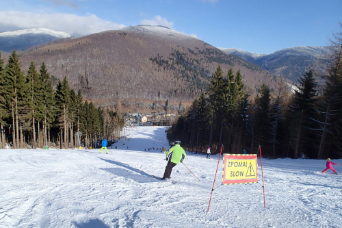 Kouty nad Desnou. Sjezdovka zvaná pohodovka.