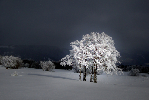 Mont Sujet. Francouzská Jura.