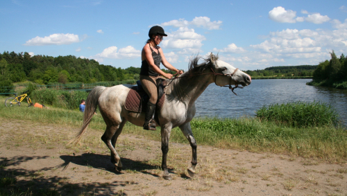 Na koni u Slatiny nedaleko Dubče.