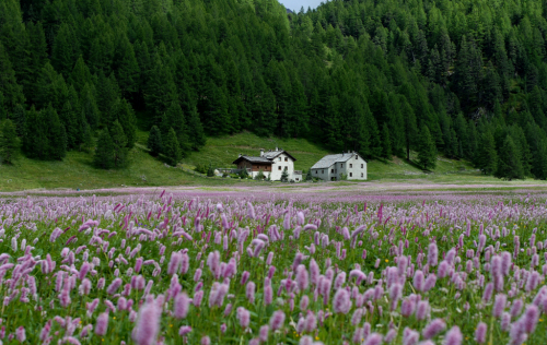 Livigno.