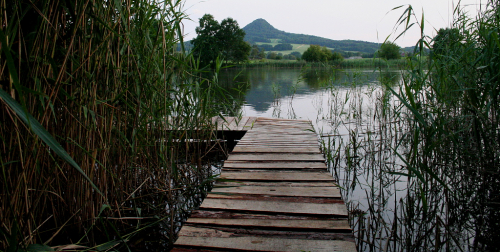 Holanské rybníky.