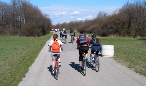 Dunajský ostrov ve Vídni: Bruslaři, běžci, cyklisté - všichni jsou tady schopni bezproblémové symbiózy.