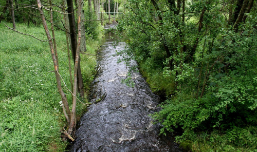 Tichá (Hamerský potok) mezi Chodským Újezdem a Zadním Chodovem.