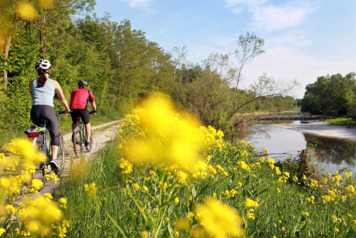 Cyklostezka Traisentalradweg vede rozkvetlou jarní přírodou Dolního Rakouska.