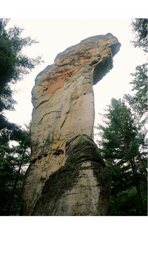 Příhrazy, skalní věž Kobyla.