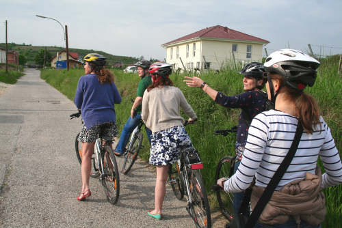 Na kole podél vinic v rakouské oblasti Kamptal.