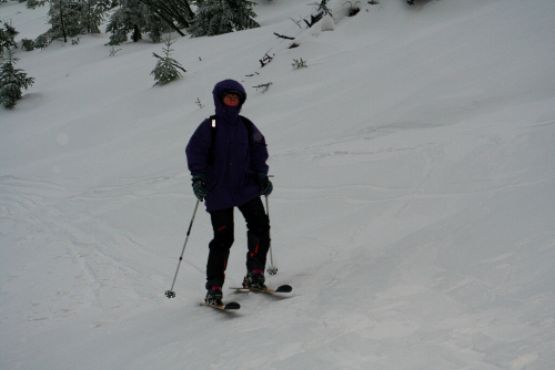 Krkonoše, údolí Bílé Labe.