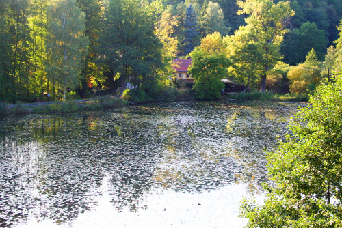Kokořínský důl, rybník Stříbrník.