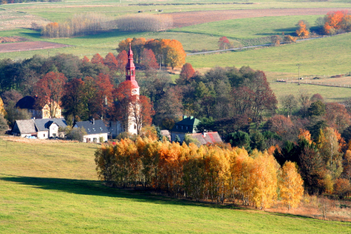 Vajoletky u Křižan.