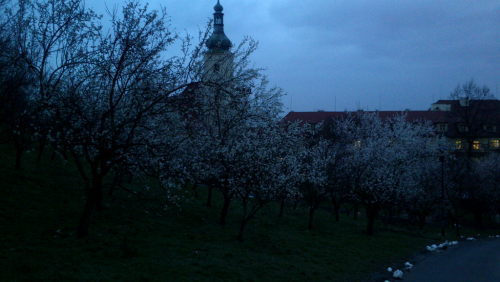 Strahovský klášter na Petříně 2. března 2016. 