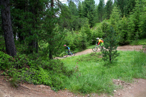 Livigno, bikepark Mottolino.