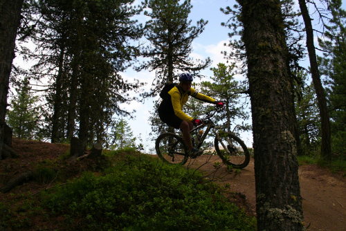 Livigno, bikepark Mottolino.