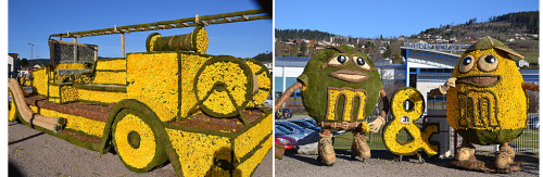 Fête des Jonquilles Gérardmer Vosges.