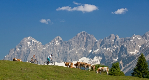 Dachstein.