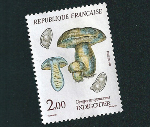 Hřib siný, vzácná a chráněná houba na francouzské poštovní známce.