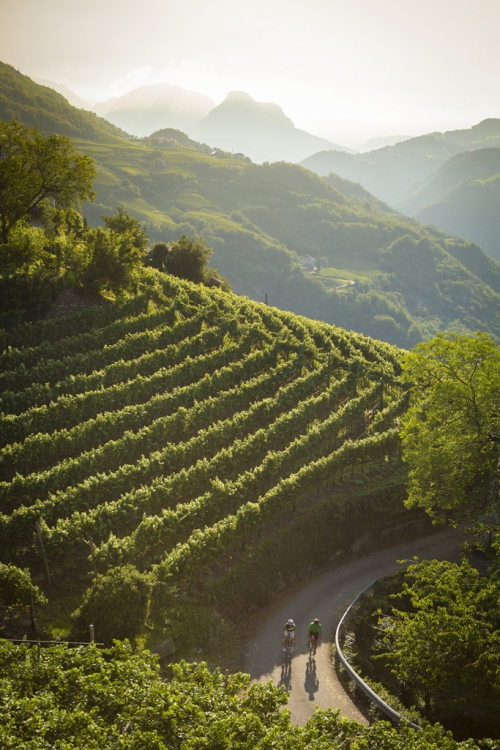 Vinařské stezky v Jižním Tyrolsku.