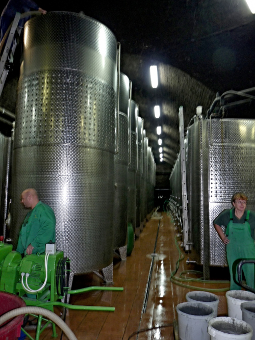 Ve Znojmě už samozřejmě převládá moderní vinařská technologie.
