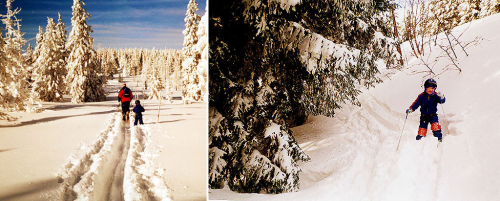 Krkonoše na skialpech.