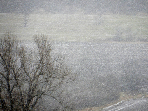 Prague.  The first snow.