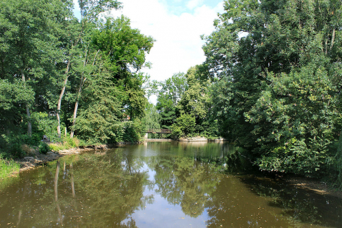 Labe, Starý Kolín.