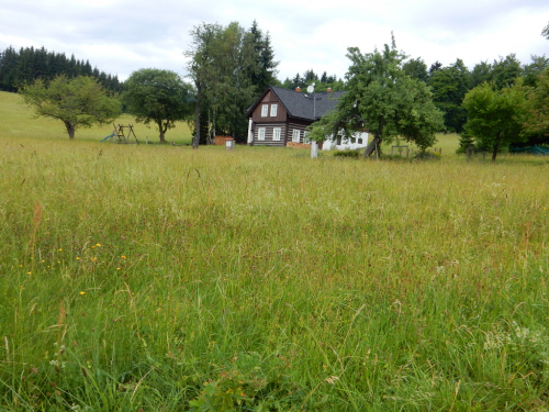 Paseky nad Jizerou.