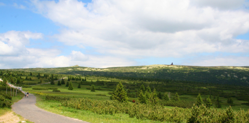 Krkonoše, rozcestí U čtyř pánů. Na obzoru Vysoké kolo a Sněžné jámy.